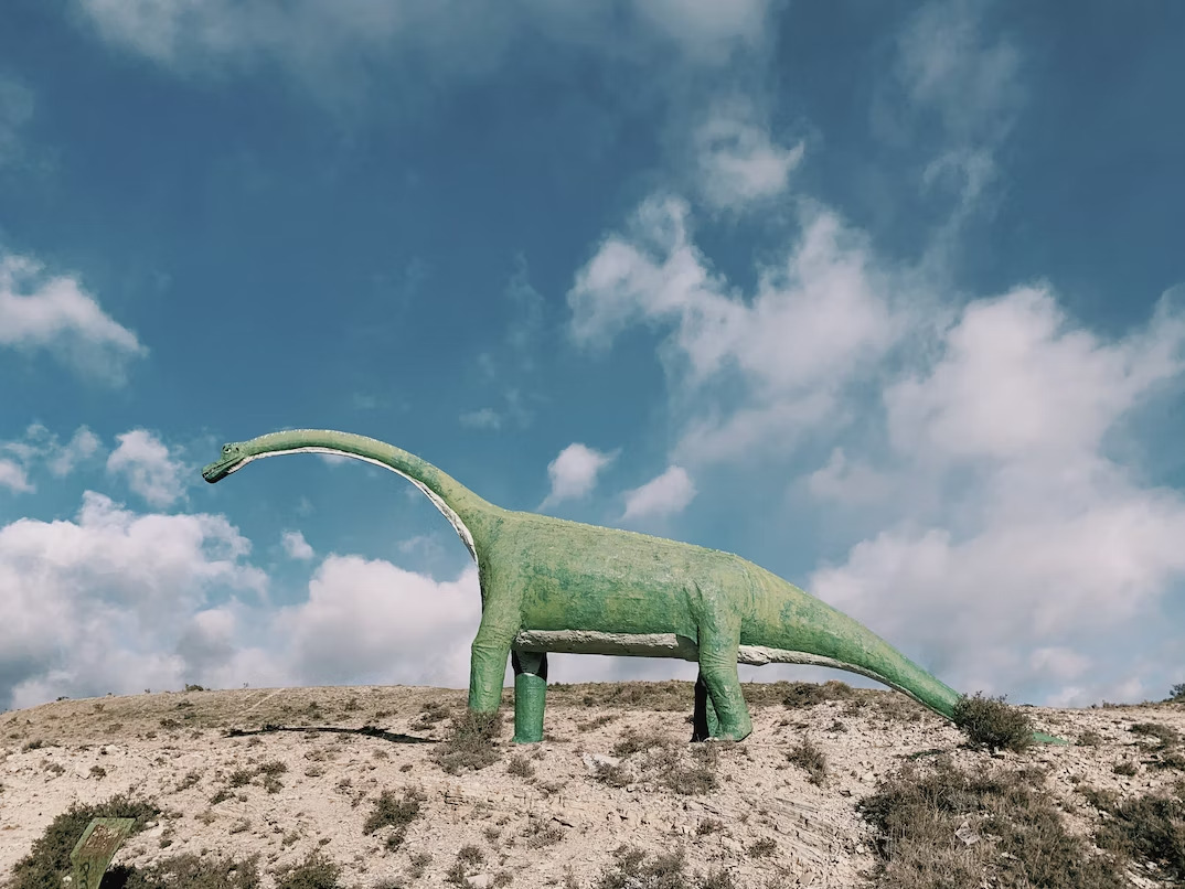The Looming Threat of the 6th Mass Extinction
