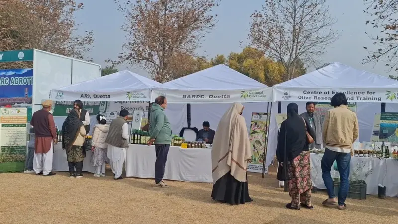 Grand National Olive Gala 2025 Islamabad