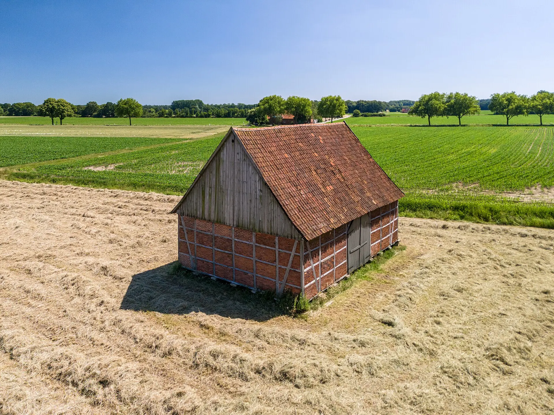 Farm mice carry the fingerprints of nearby antibiotics