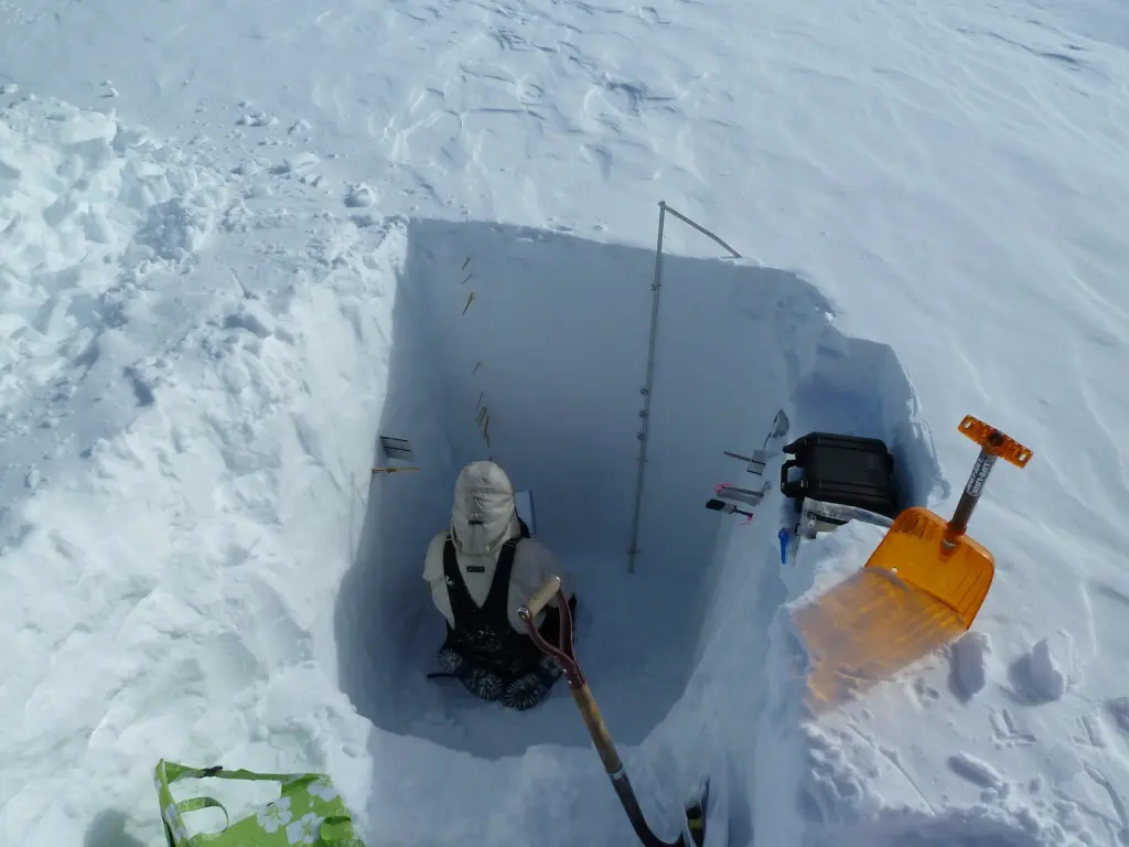 Elements common in interstellar dust appear in deep-sea cores, Antarctic snow, and lunar samples during key windows.