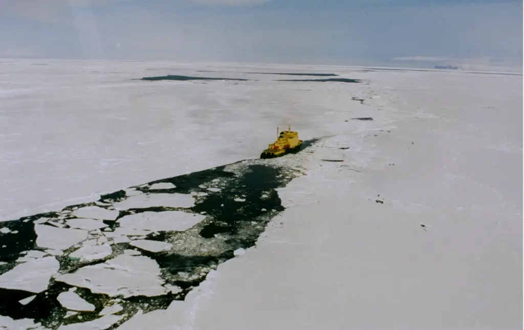 The RSV Nuyina icebreaker is scheduled to evacuate 24 station staff in September or early October, officials said.