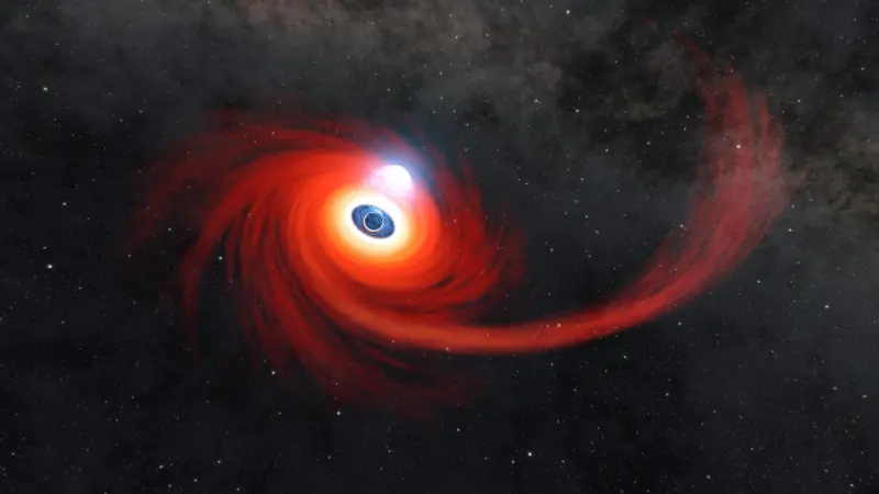 The Mysterious Black Hole Star: A New Astrophysical Phenomenon