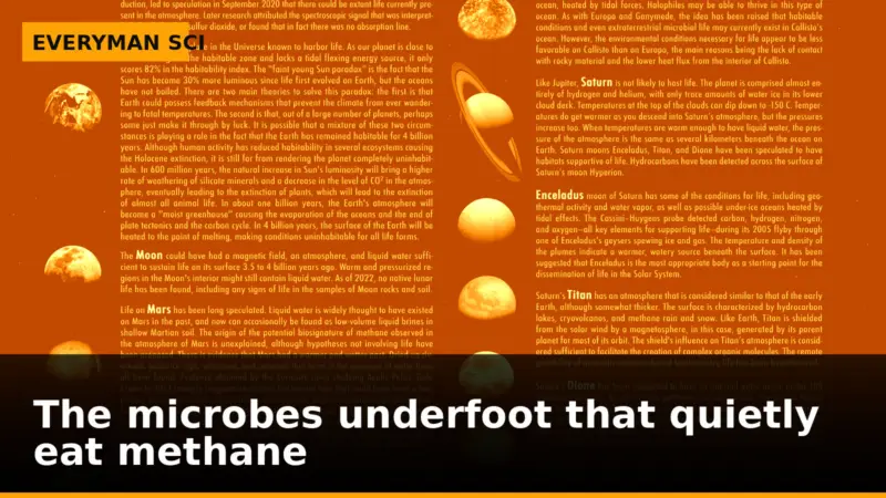 The microbes underfoot that quietly eat methane