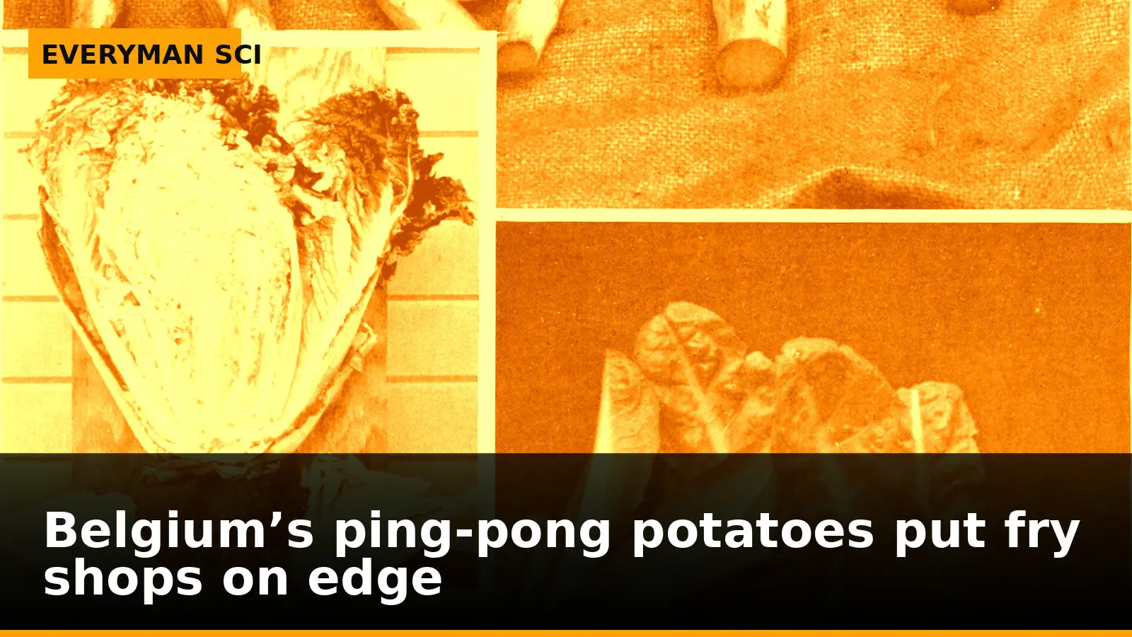 Belgium’s ping‑pong potatoes put fry shops on edge