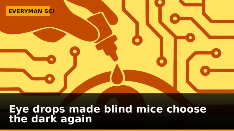 Eye drops made blind mice choose the dark again