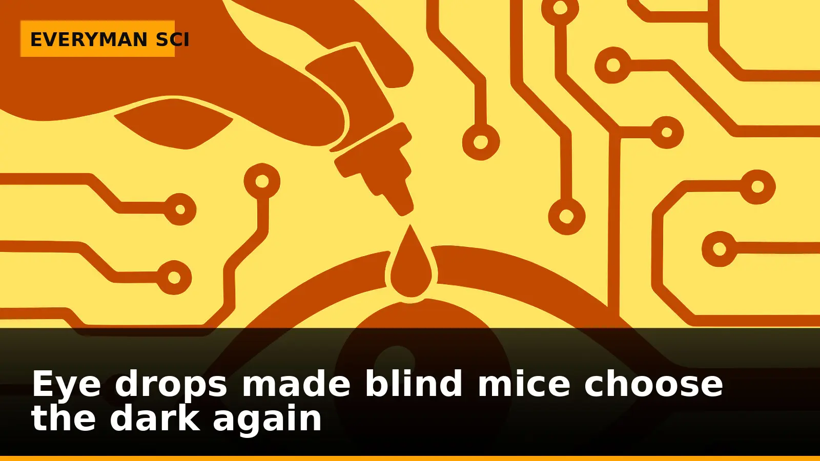 Eye drops made blind mice choose the dark again