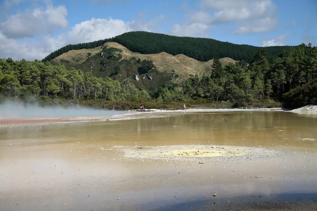 Similar DNA fragments in hot springs from Yellowstone and New Zealand hint at related heat-loving eukaryotes.