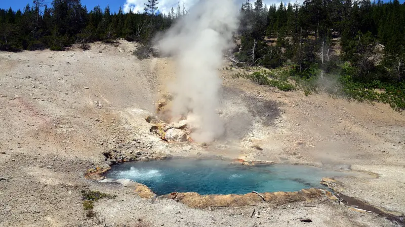 A California hot-spring amoeba keeps dividing at 145°F