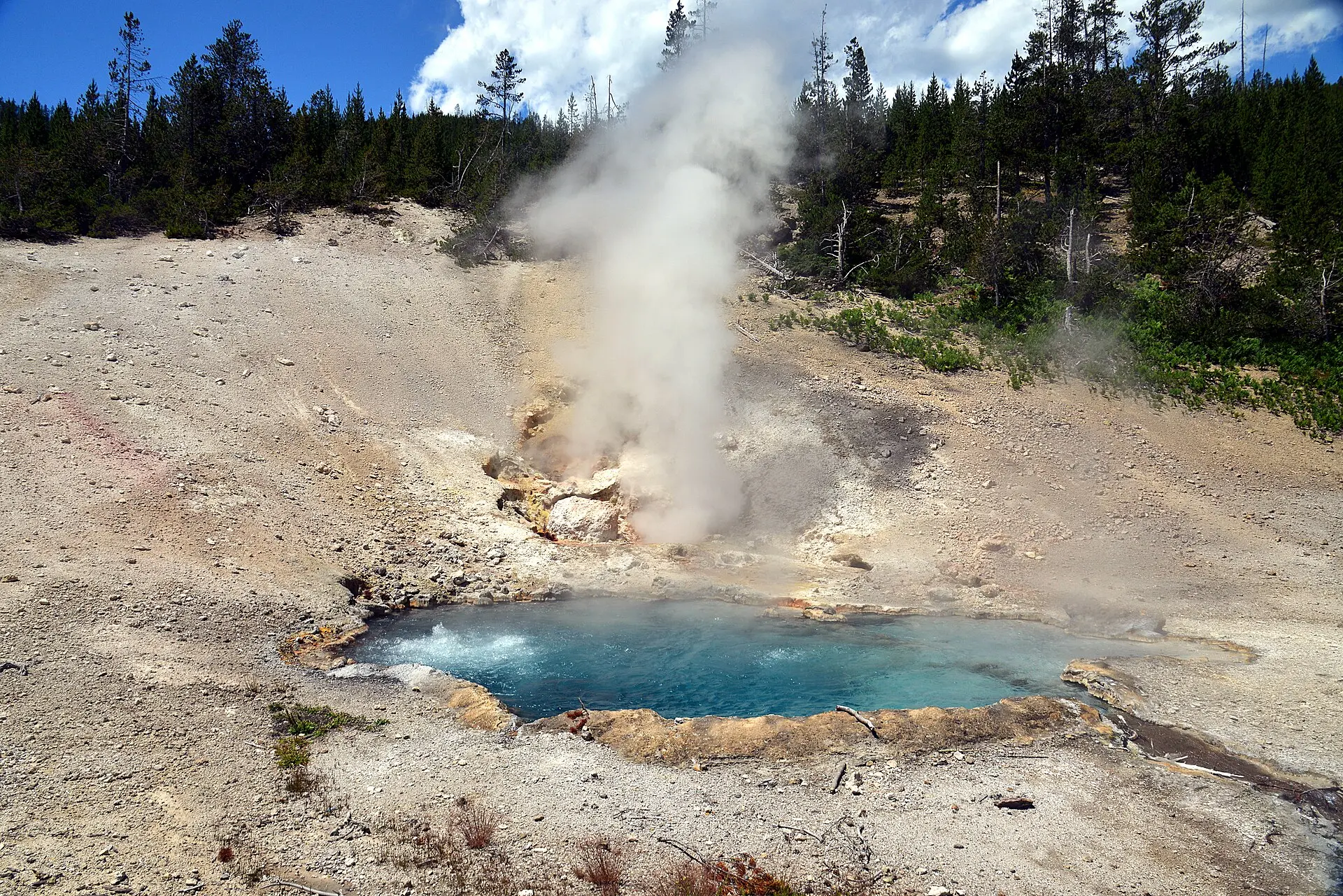 A California hot-spring amoeba keeps dividing at 145°F