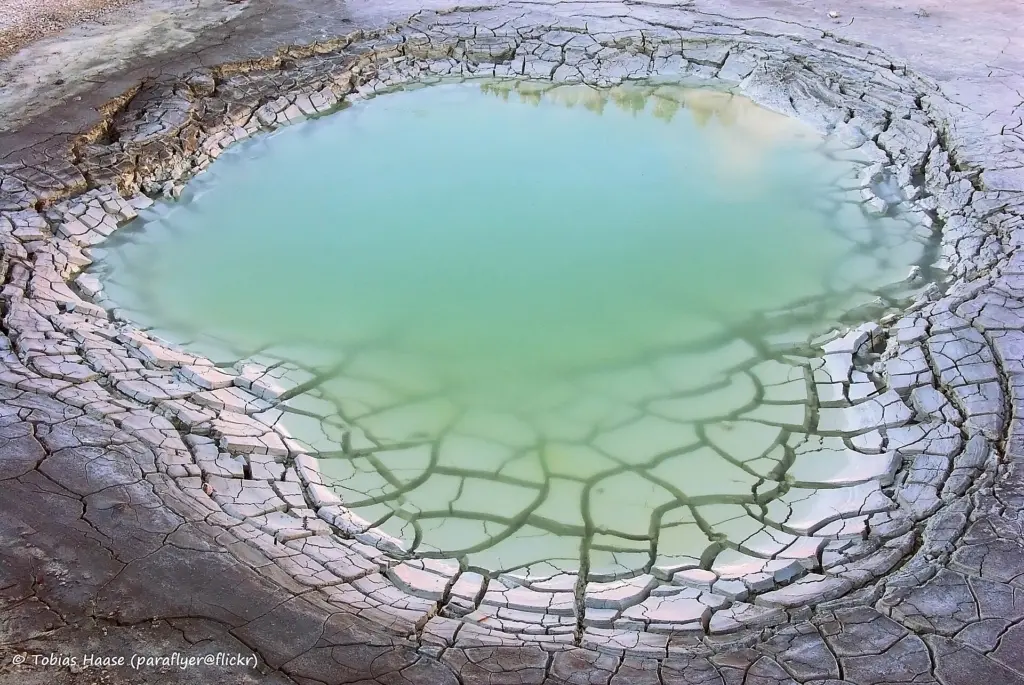 Lassen Volcanic National Park hosts the hot spring tributary where the amoeba was found.