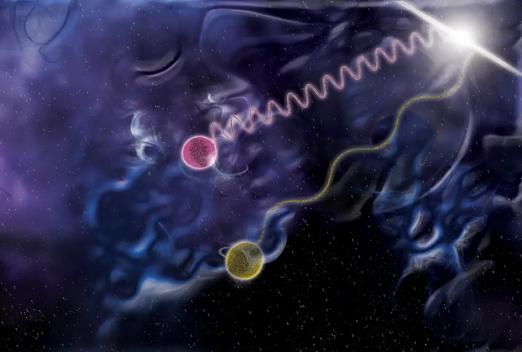 On quantum gravity, respondents split among string theory, loop quantum gravity, and the view that gravity may not be quantizable.