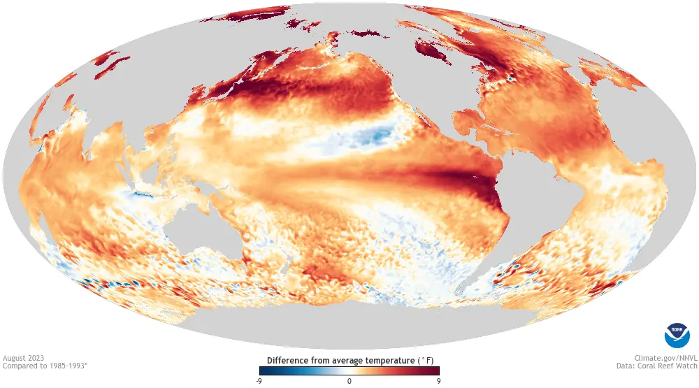 During El Niño, warm water spreads eastward across the equatorial Pacific, reshaping atmospheric circulation and rainfall belts.