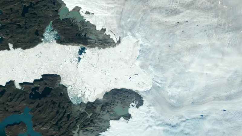 31.4 millimeters higher after 11.3 trillion tons of polar ice vanish