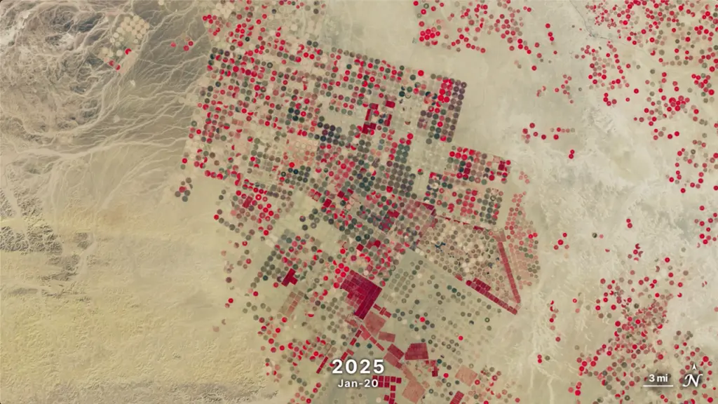 Researchers reported Tessera’s result: 84% crop-type accuracy and a 28% gain over the next-best model in one scenario.
