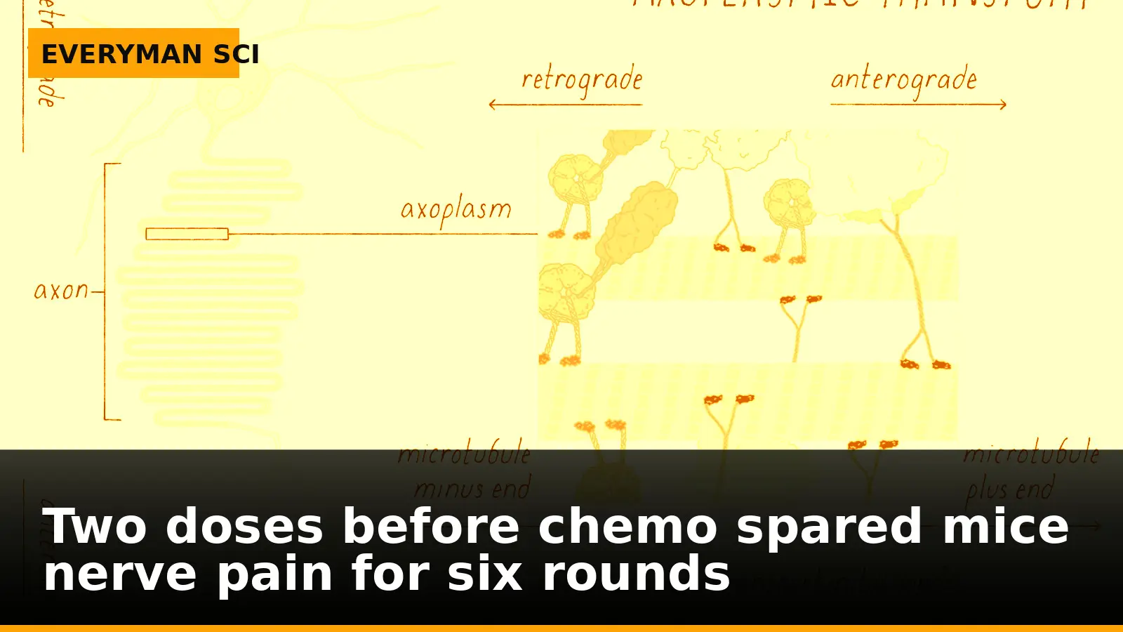 Two doses before chemo spared mice nerve pain for six rounds