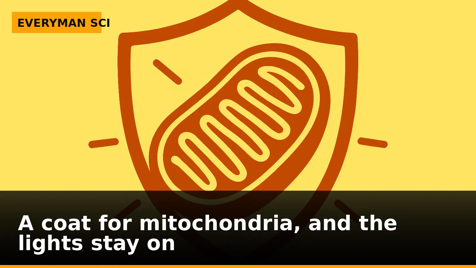 A coat for mitochondria, and the lights stay on
