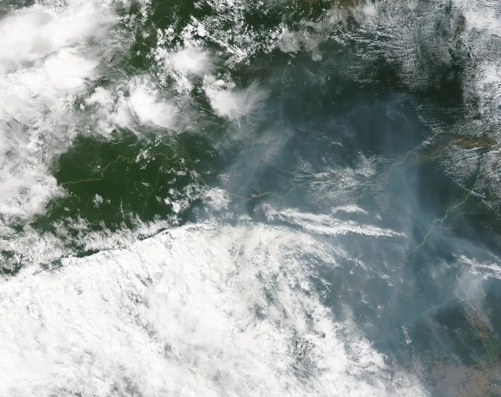 Wildfire smoke over tropical forest canopy during a dry season.