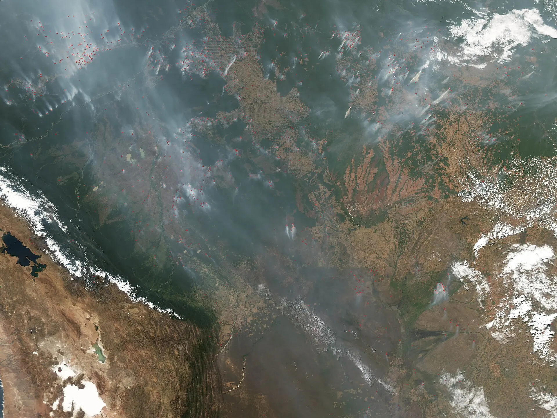 Manaus hit ‘above 135’ PM2.5—schools closed as El Niño primes a long Amazon fire season