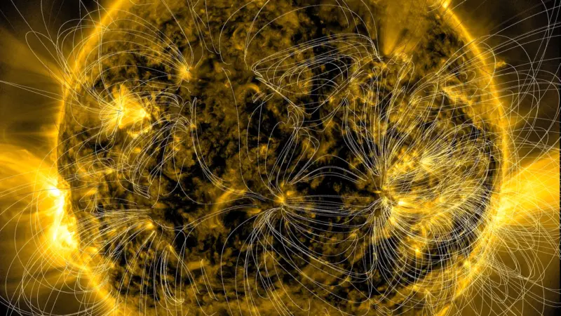 Inside a solar magnetic hairpin, oxygen and carbon point to interchange reconnection