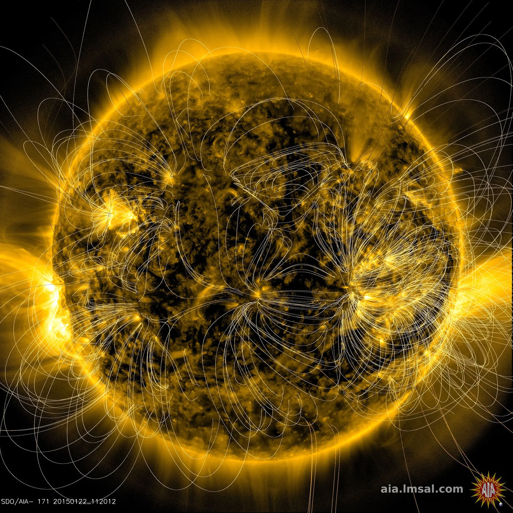 Inside a solar magnetic hairpin, oxygen and carbon point to interchange reconnection
