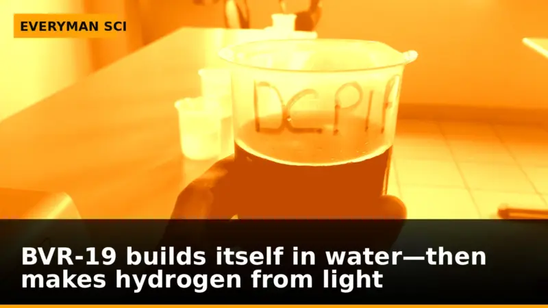 BVR-19 builds itself in water—then makes hydrogen from light