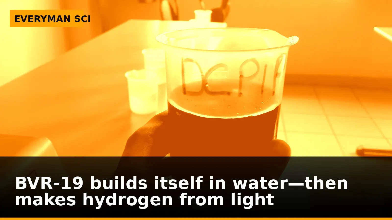 BVR-19 builds itself in water—then makes hydrogen from light
