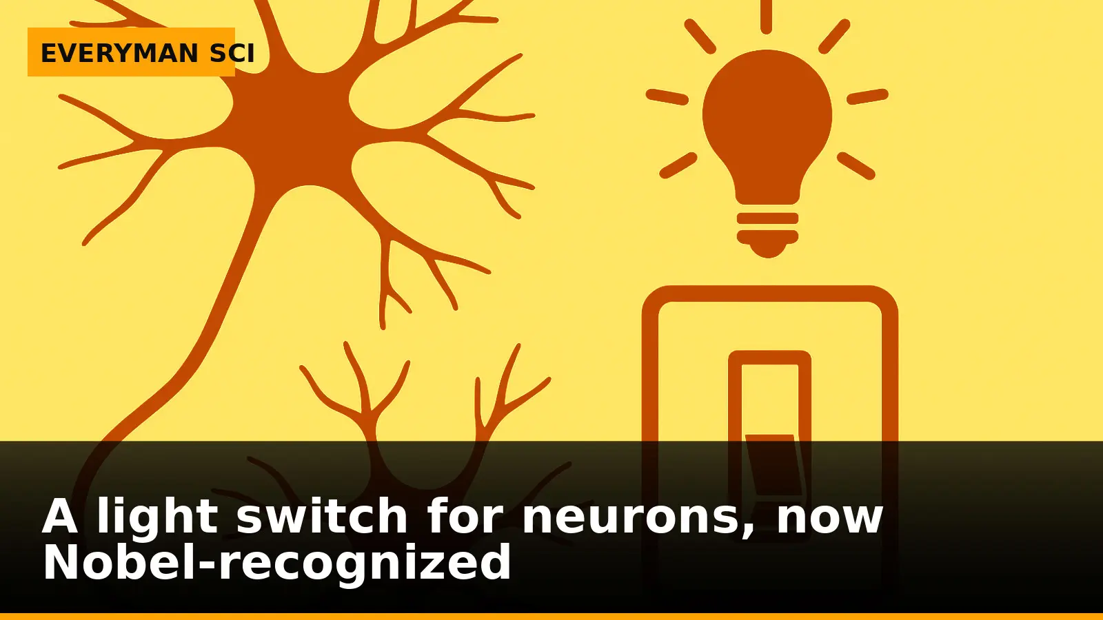 A light switch for neurons, now Nobel‑recognized